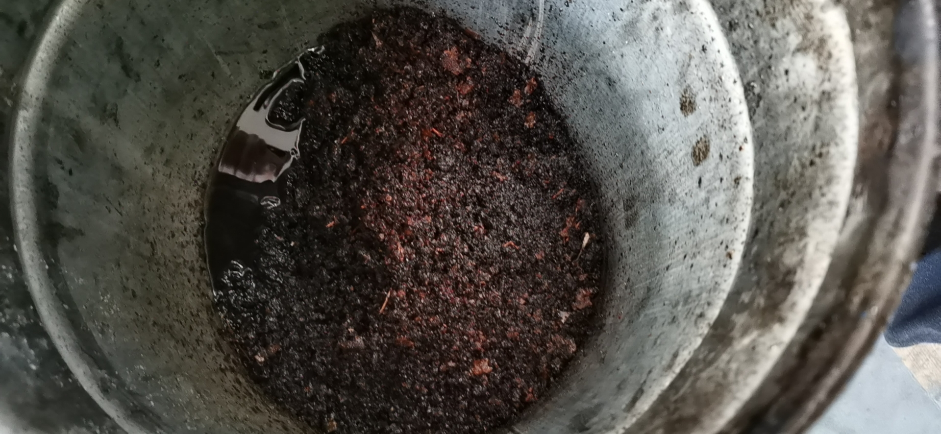 900900藏宝阁资料